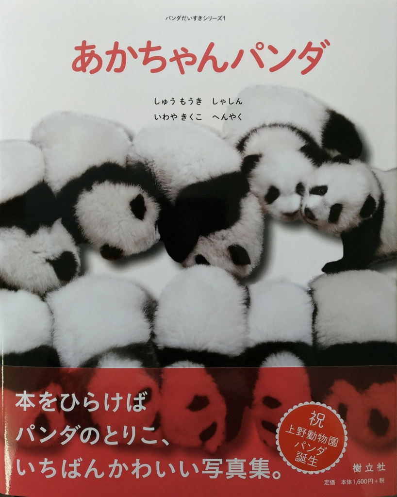 赤ちゃんパンダ 樹立社